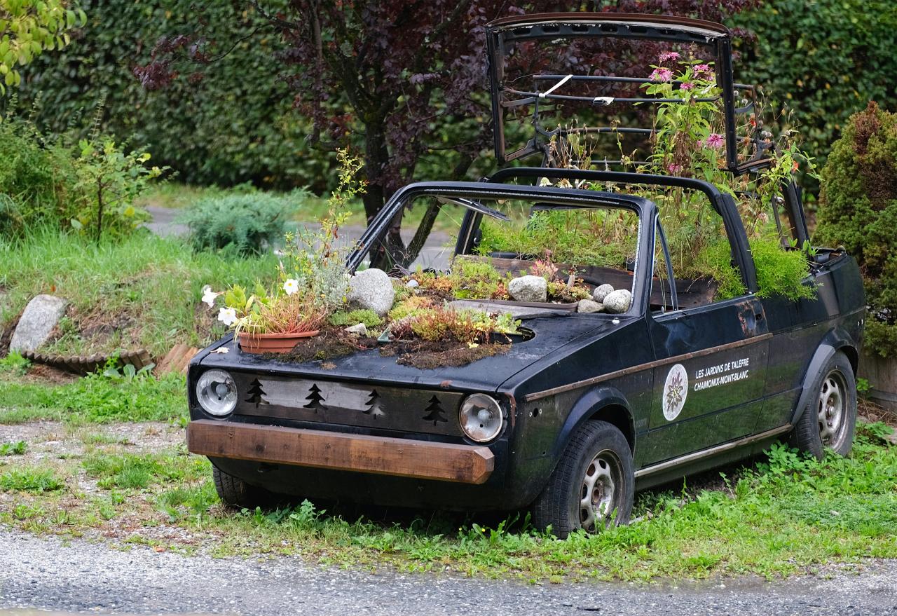 an old car with plants growing out of it
